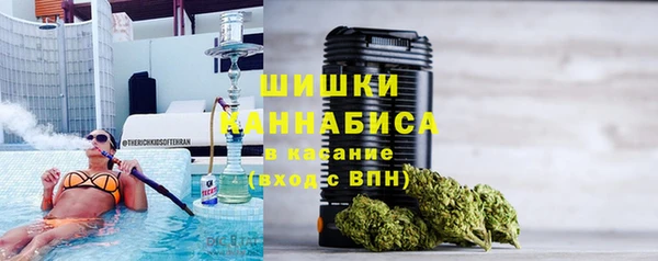 Альфа ПВП Аркадак
