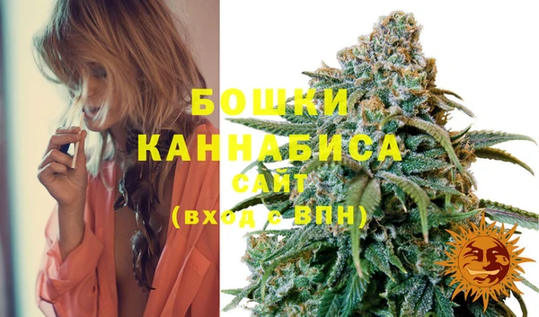 Альфа ПВП Аркадак
