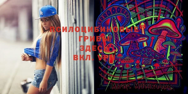 Альфа ПВП Аркадак